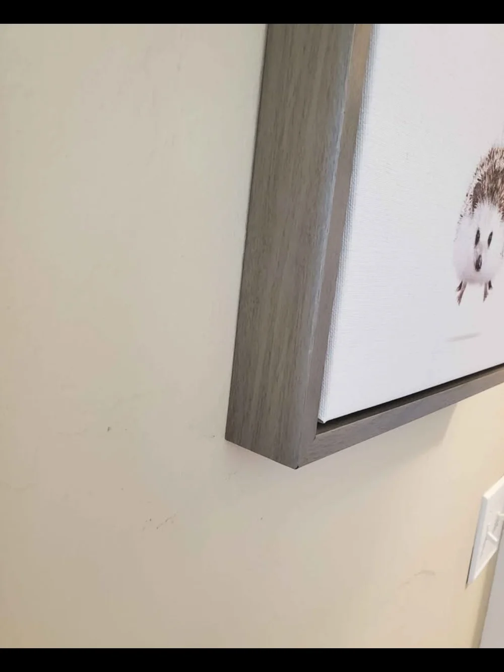 Amy Peterson Hedgehog Art With Wood Frame